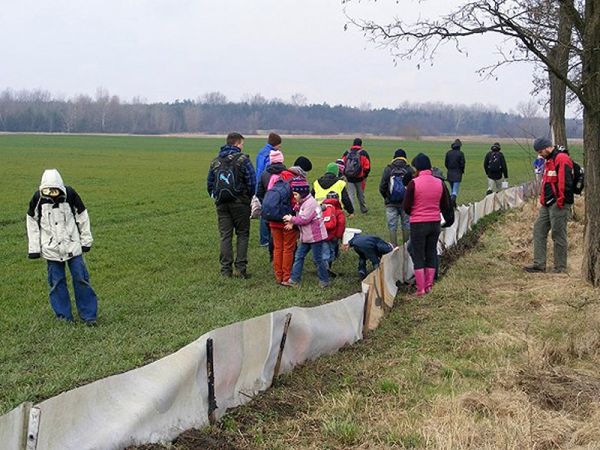 címketervező program pálinka